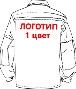 Нанесение логотипа-термотрансфер, кол-во цветов: 1, размер А4